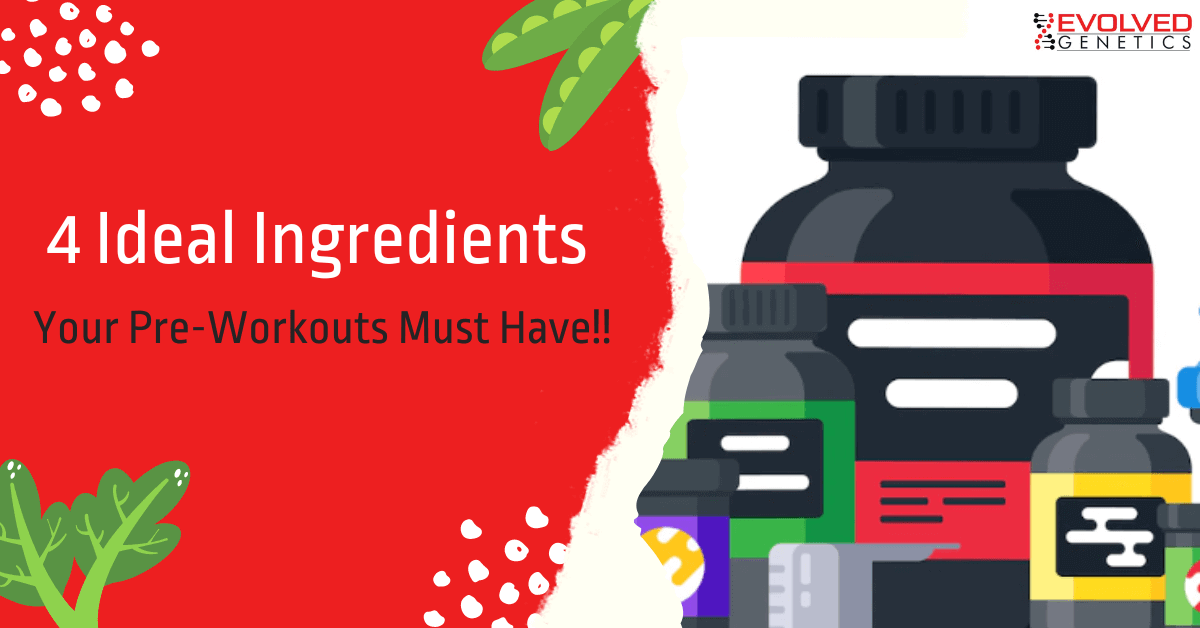 4 Ideal Ingredients your Pre-workouts or Pre-workout supplements must have!